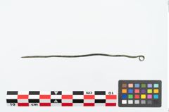 Foto von Bronzerollenkopfnadel (NHMW-PRAE-026140)